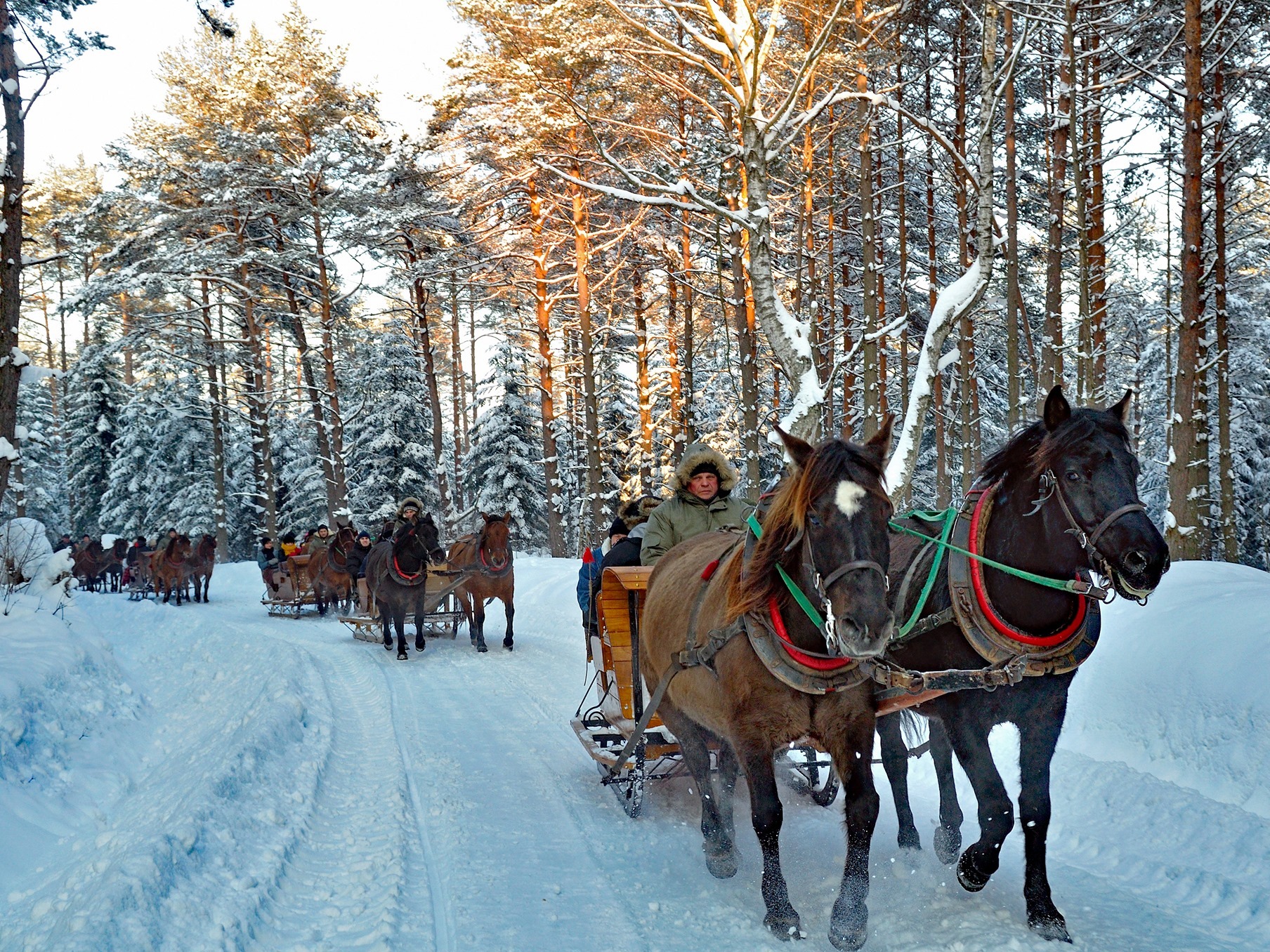 Czarny Potok Resort SPA Conference outdoor kulig