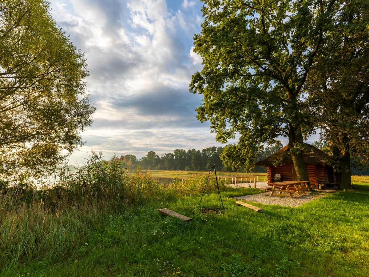 Dwór w Zgniłym Błocie natura