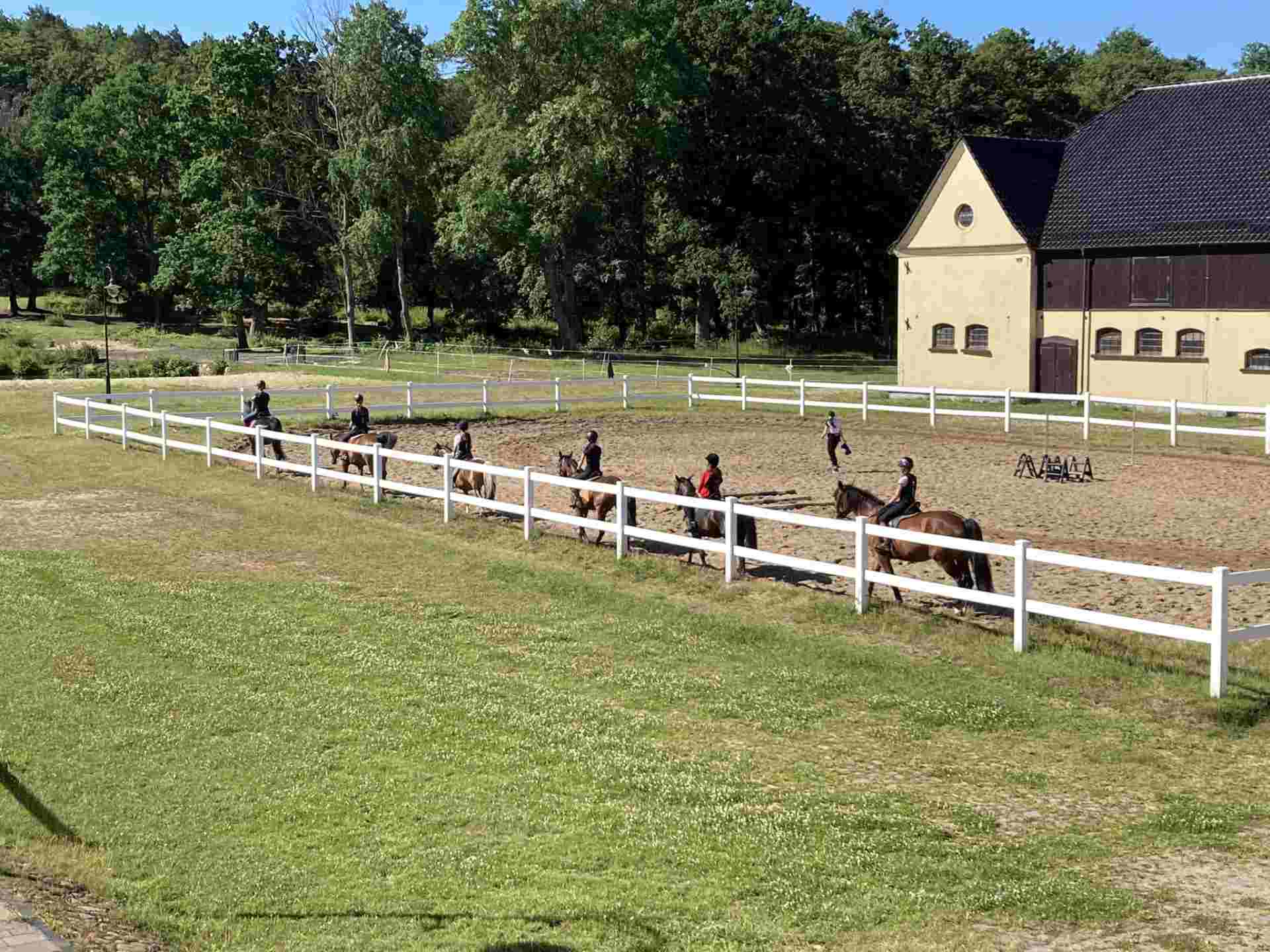 Rancho Ulinia stadnina